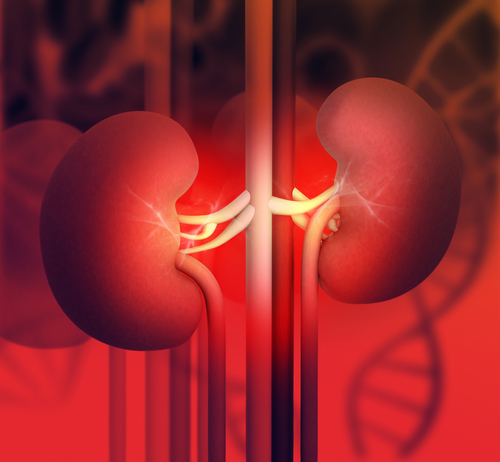 Help for Patients With High-Cost Kidney Medications